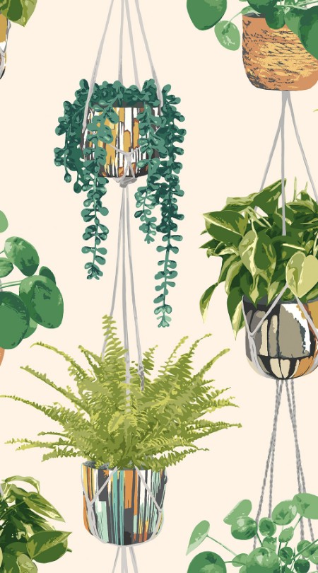 Picture of Houseplant Sage & Cider - GRA50111W