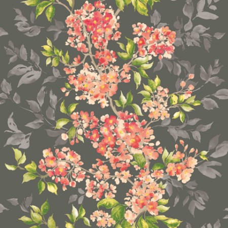 Picture of Sakura Charcoal  - IKA50127W