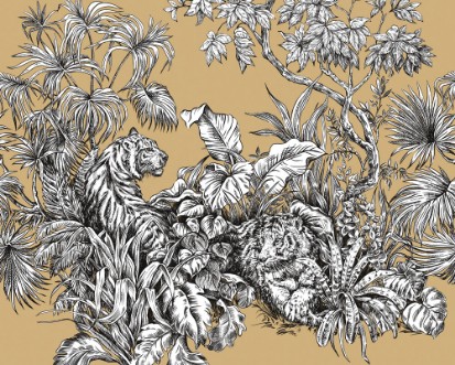 Picture of Roar Ginger  - ICN50103M