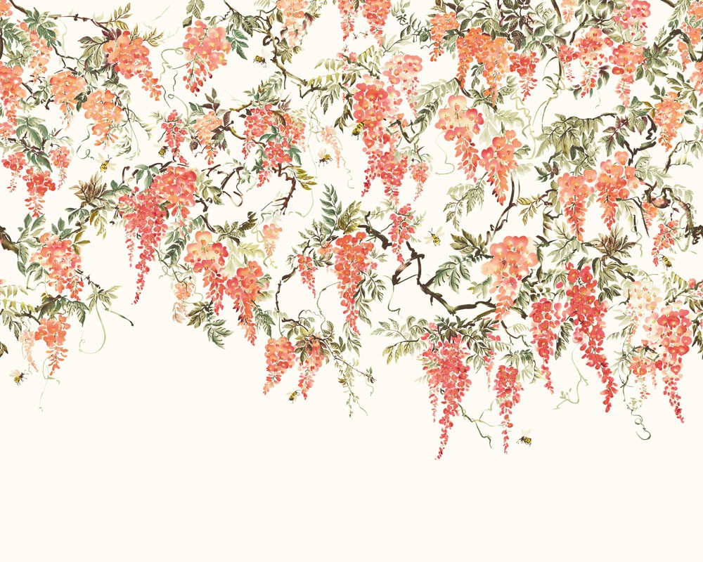 Bild på Trailing Wisteria Peach - ICN50112M