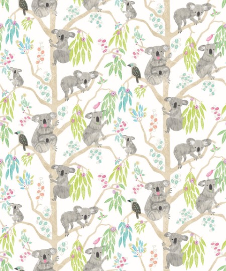 Picture of Kooka Koala Candy Apple - WGU50127W