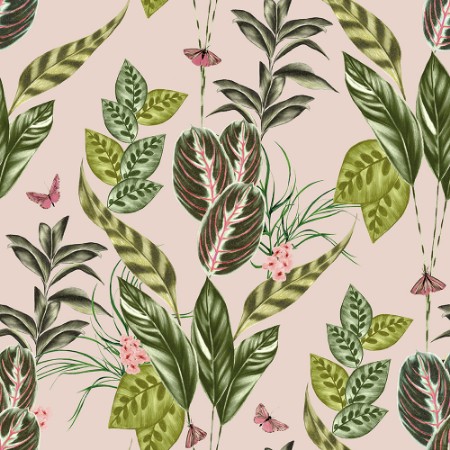 Picture of Spirit  Powder - WLD53121W