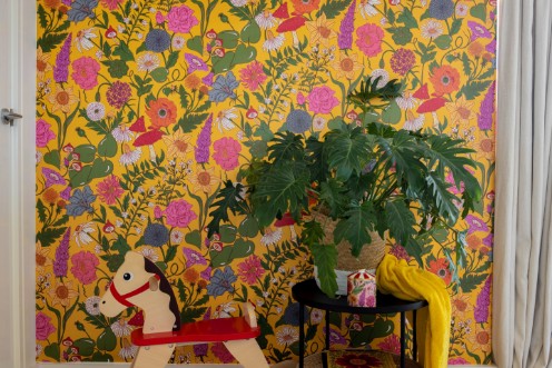 Image de Bloom Mimosa - BLMY894152