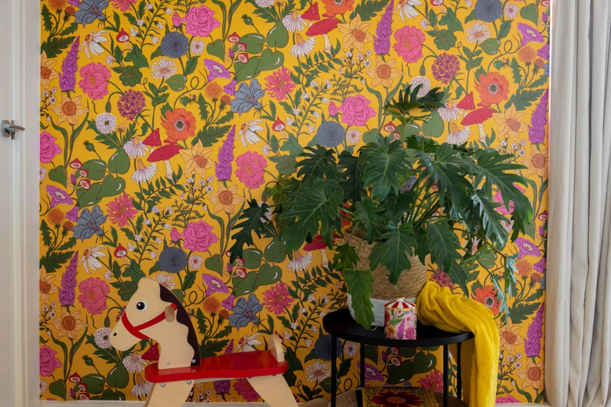 Picture of Bloom Mimosa - BLMY894152