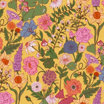 Image de Bloom Mimosa - BLMY894152