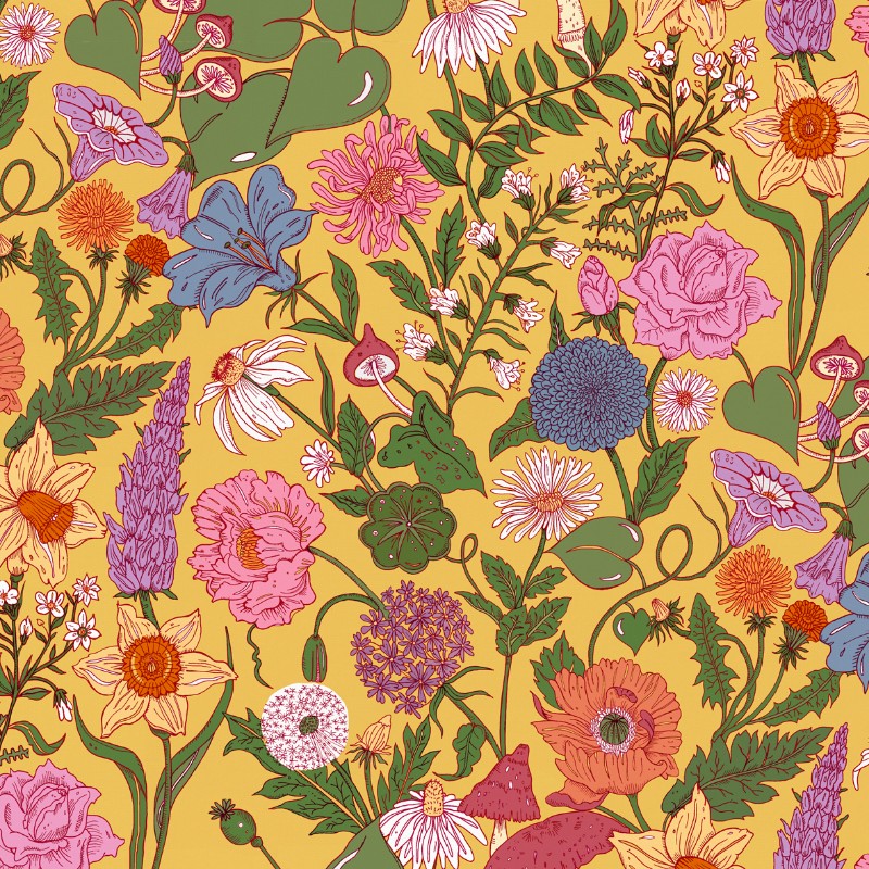 Picture of Bloom Mimosa - BLMY894152