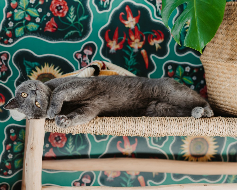 Image de Halcyon Emerald green - HAEG894152