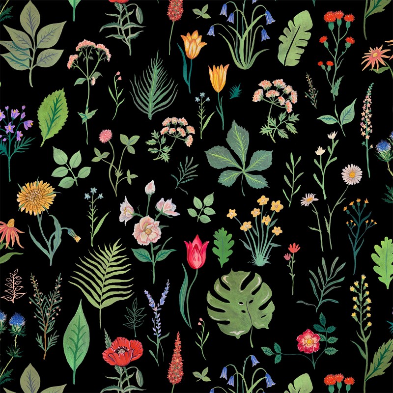 Image de Sonder Black - SRB894152