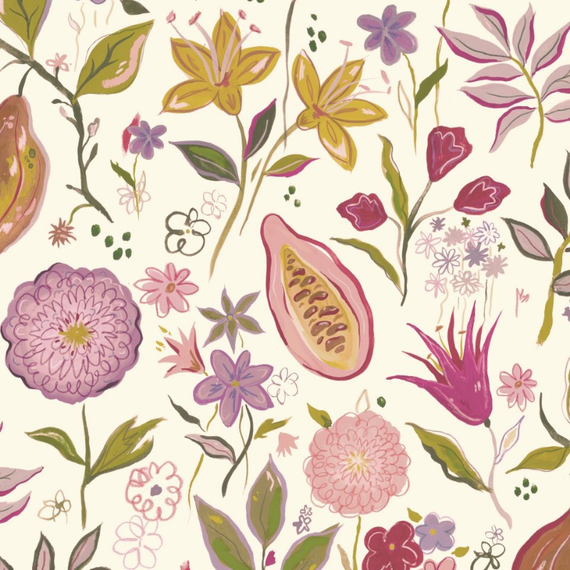 Picture of Kakao Ginger - KAGO807652