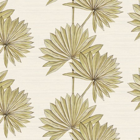 Afbeeldingen van Palmetto Blanca - PABW894170