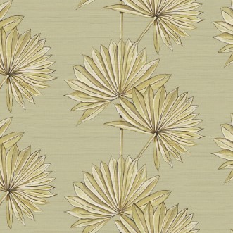 Picture of Palmetto Sage - PASG894170