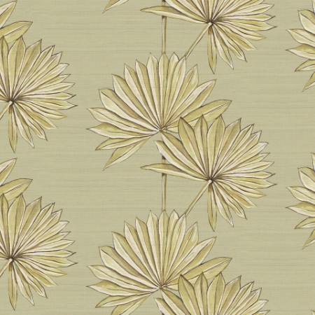 Afbeeldingen van Palmetto Sage - PASG894170