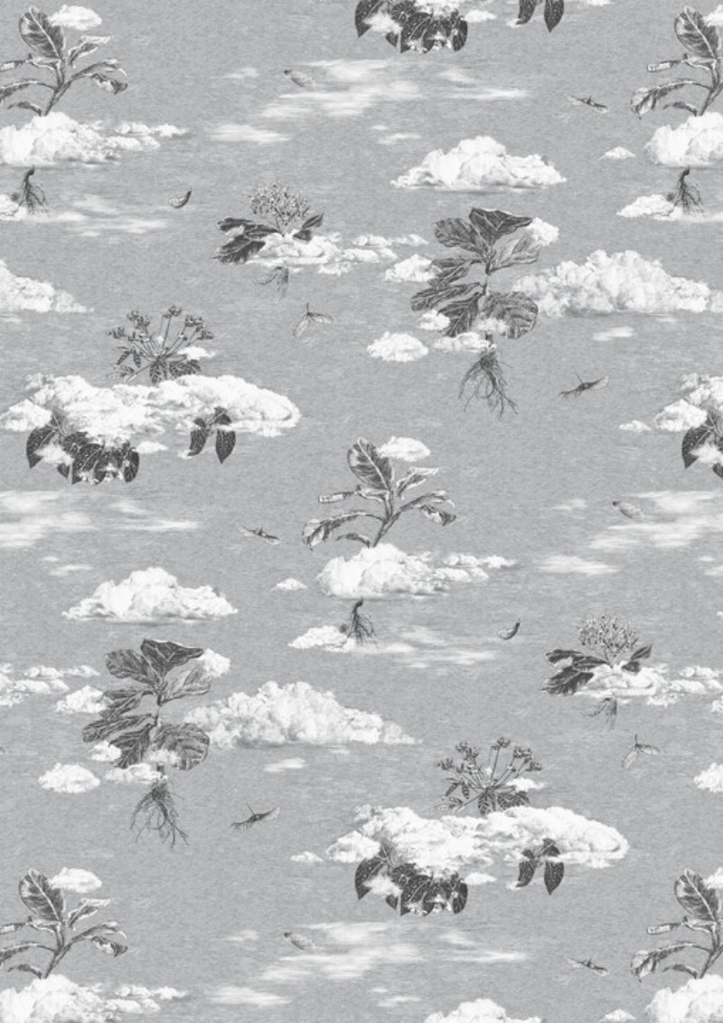 Picture of Autumn Cloud Forest - SEASONS01