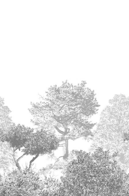 Picture of Hua Trees Mural Wallpaper - Grey - HUATREES03