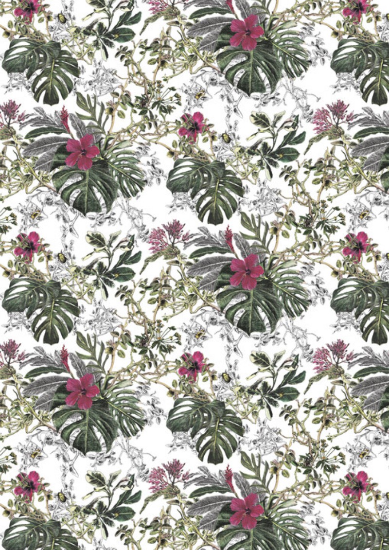 Bild på Summer Tropical Bloom - SEASONS06