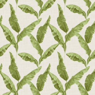Picture of Plantain Wallpaper Green - PLANTAI/WP1/GRE