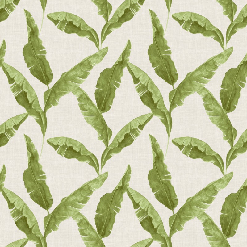 Picture of Plantain Wallpaper Green - PLANTAI/WP1/GRE