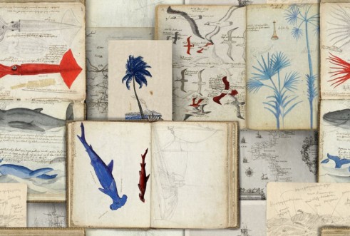 Picture of Seaman'S Journal - WP20562