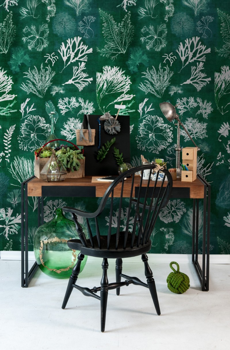 Picture of Algae Moss - WP20296