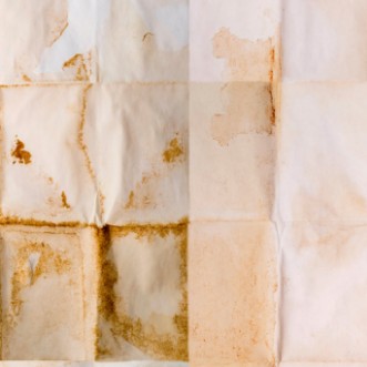 Picture of Shibui - WP20348