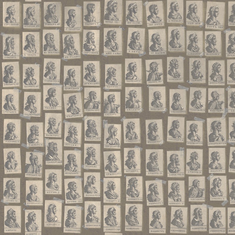 Bild på Emperors Taupe - WP20416