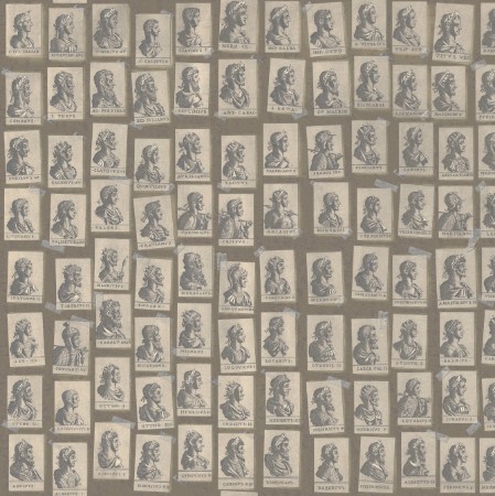 Picture of Emperors Taupe - WP20416