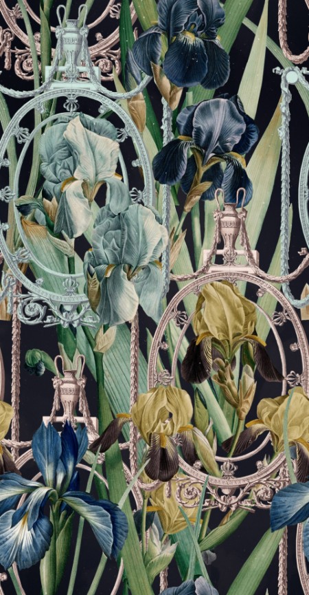 Picture of Fleurs D'Iris - WP20477