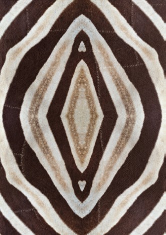 Bild på Idube - WP20418