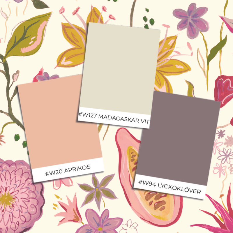 Picture of Kakao Ginger - KAGO807652