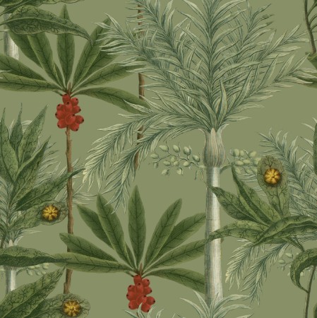 Picture of Madagascar - WP20520