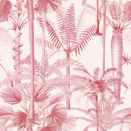 Picture of Palmera Cubana Pink - WP20497