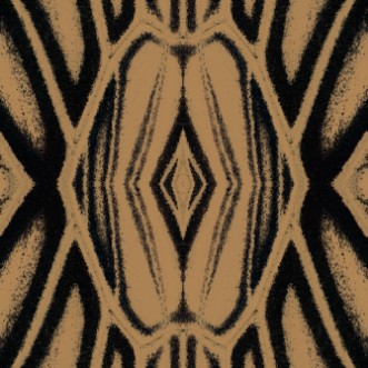 Picture of Quagga - WP20504