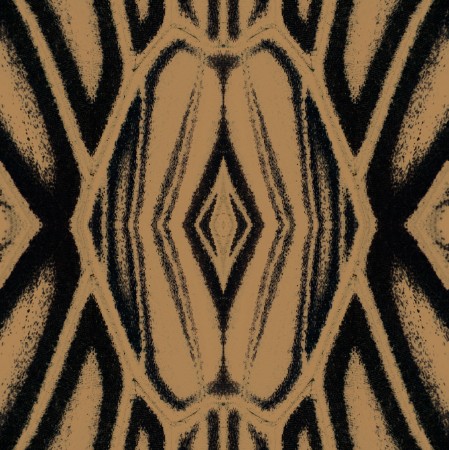 Picture of Quagga - WP20504