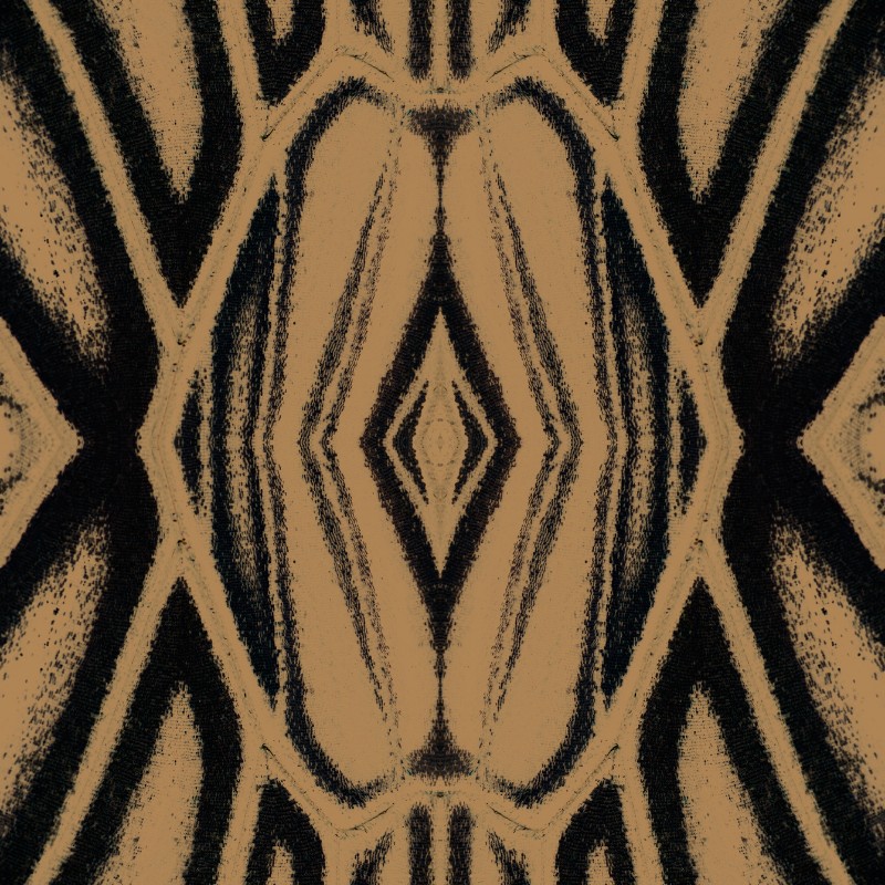 Bild på Quagga - WP20504