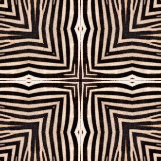 Bild på Serengeti - WP20505