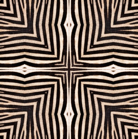 Picture of Serengeti - WP20505