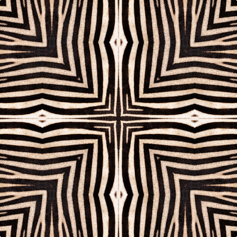 Picture of Serengeti - WP20505