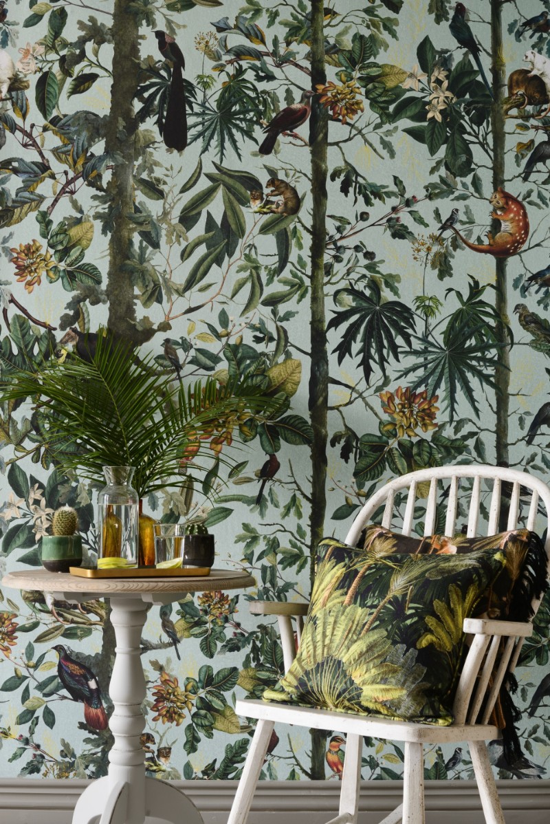 Picture of Wildlife Of Papua - WP20528