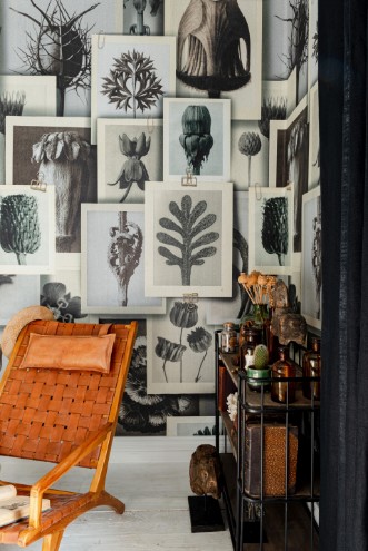 Picture of Blossfeldt'S Art Forms - WP20595