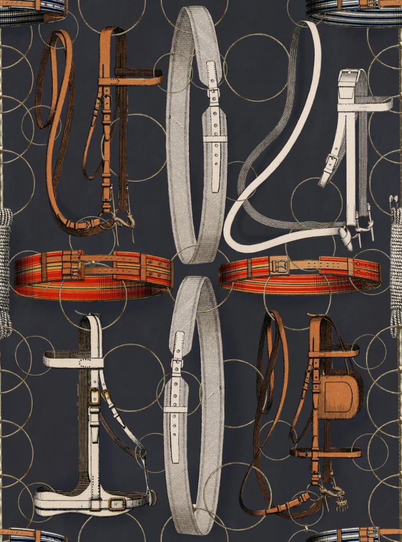 Picture of Equestrian Equipment Dark - WP20632