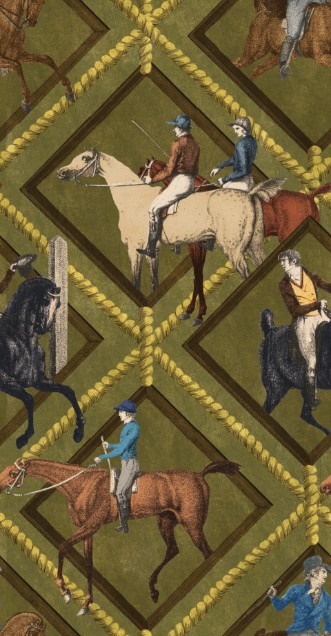 Picture of Gymkhana Khaki - WP20638