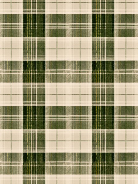 Picture of Countryside Plaid Beechnut - WP30010