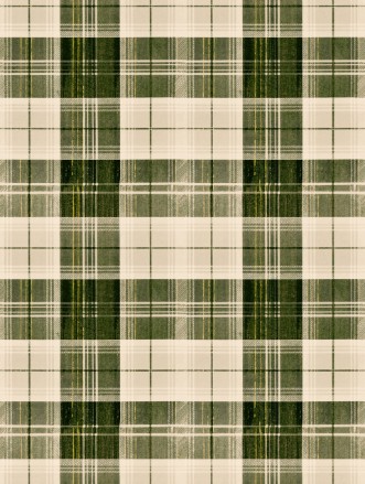 Picture of Countryside Plaid Beechnut - WP30010