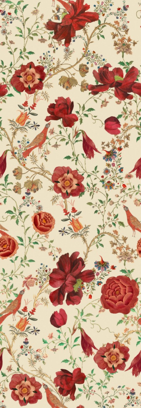 Picture of Transsilvaniae Florilegium  - WP20556