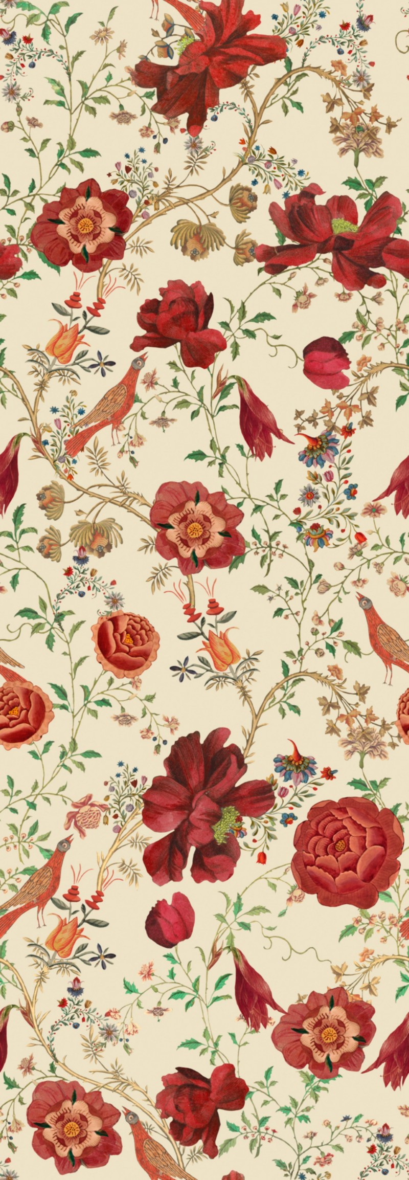 Picture of Transsilvaniae Florilegium  - WP20556