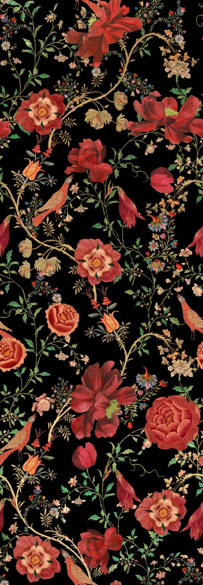 Bild på Transsilvaniae Florilegium Dark - WP20557