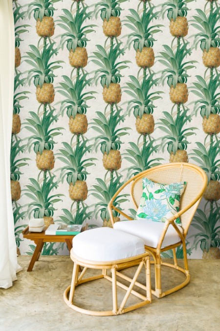 Picture of Ananas - WP20090