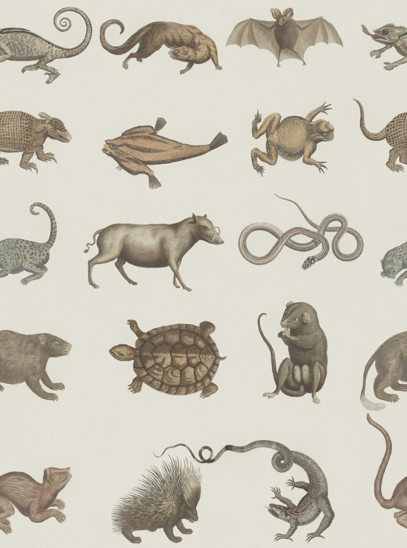 Bild på Ark Of Seba - WP20001