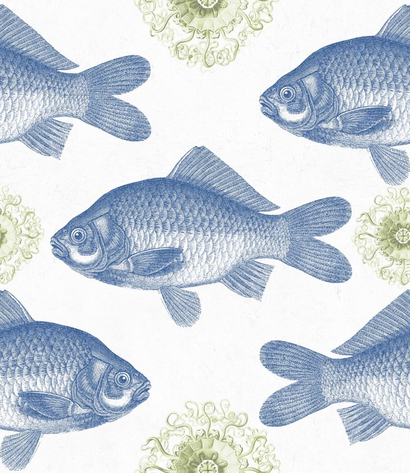 Picture of Fish Blue - WP20009