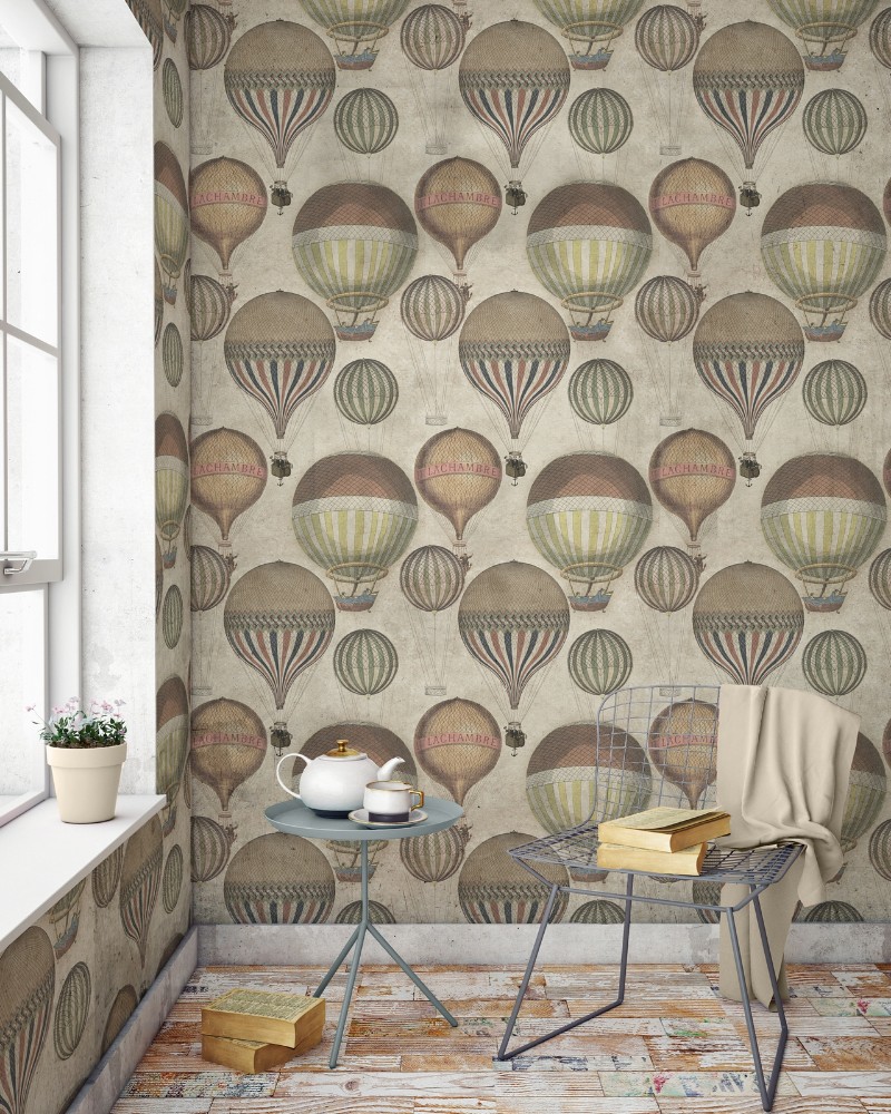 Picture of Hot Air - WP20033